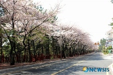 해운대 달맞이길 걷기 편해진다