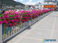 사천시, 꽃 난간걸이 화분 설치