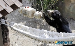 꼬마네 집에 놀러오세요