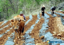 소가 있어 행복한 농부가족