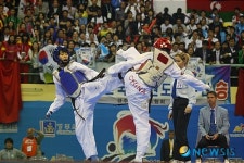 2011 세계태권도선수권대회