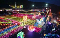 환하게 불 밝힌 연등