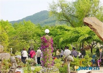 밀양 꽃새미 마을, 제4회 소원 돌탑축제 개최