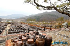 세종 전통장류 명품화, 향토산업으로 육성된다