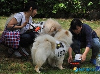 우선 밥부터 먹자
