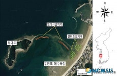 무창포 신비의 바닷길 연안 ‘바다숲’ 조성