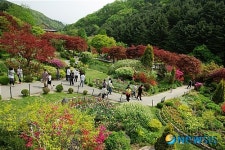 아침고요수목원 봄나들이 풍경