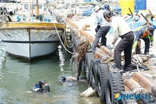 포항해경 감포항 해·육상 일제 정화활동
