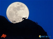 달빛 아래 산책