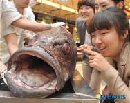 사람머리보다 큰 입