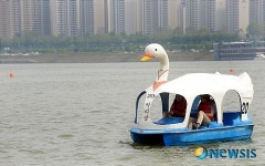 오리배 타며 더위 식혀요