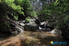 ［한국관광 으뜸명소］신록 경주 남산 계곡