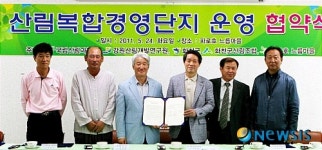 산림복합경영, 화천서 본격 가동