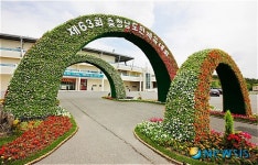 보령종합경기장 앞 ‘꽃 탑 구경 오세요’