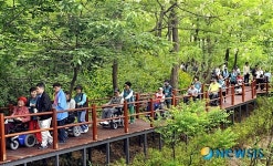 안산 자락길 산책해요
