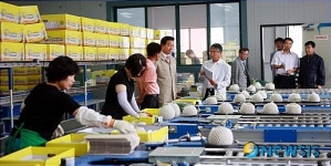 일본 수출, 곡성멜론