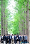 남이섬 방문한 한중일 관광장관회의 대표단