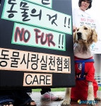 동물사랑 실천합시다