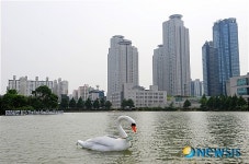 건국대학교 호수 위 태양광 백조