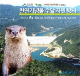 화천서 4일 평화의 댐 천연기념물 수달 방사