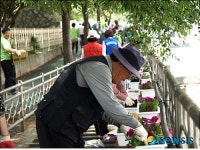창원 웅남동 하천꽃길