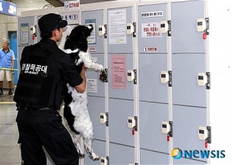 수원역 폭발물 설치 신고로 물품보관함 수색