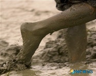 한국 영화에서의 도시와 농촌 학술포럼