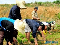 농어촌공사 영북지사 농촌 일손돕기 구슬땀