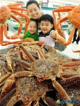 러시아에서 온 살아있는 대게!