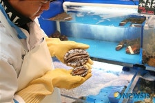 롯데百 포항점 청정완도 ‘통큰 전복’ 보러오세요