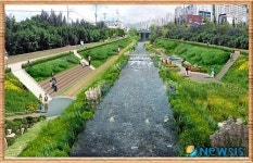 부산, 공해하천 학장천이 생태하천으로 거듭난다