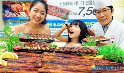 여름철 보양식으로 민물장어 어때요?