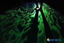 강은수, 인터렉티브 미디어란 바로 이런 것