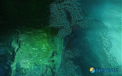 강은수, 인터렉티브 미디어란 바로 이런 것