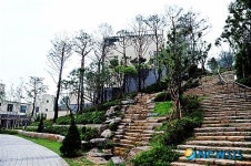 뒷산 산책로로 이끄는 길