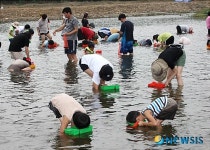괴산 둔율올갱이축제