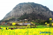 제주 서귀포 산방산 지정문화재 명승 지정
