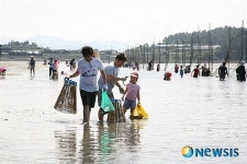 완도 맨손 고기잡이 체험