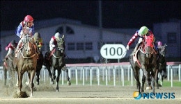 부경경마공원, 부산시장배 대상경주 연승대로 우승