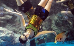 아쿠아 댄싱 파티!