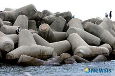 양양 수산항 방파제에서 바다 낚시를