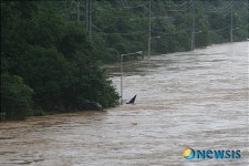 폭우로 사라진 강촌 강변도로
