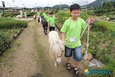올 여름휴가는 종마목장으로
