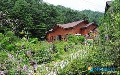 [감성 생태기행]  야생화 정원을 가진 펜션