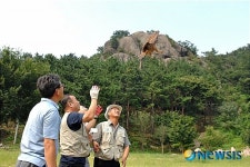 부엉이 바위 아래에서 치료받은 수리부엉이 날려