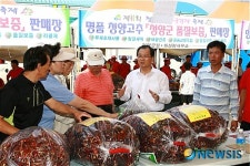 청양고추ㆍ구기자축제, 재래시장 경제 활성화 큰 기대