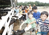 낙농체험 재밌어요~!
