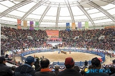 청도 상설소싸움경기장 오픈 매주 경기 진행