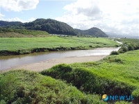 부여 지천 미호종개 서식지 천연기념물 지정