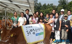 경기농협, 다문화가정에 희망송아지 선물